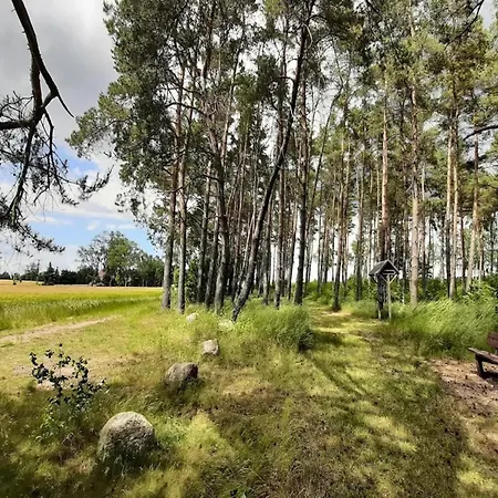 Hafenflair Am Plauer See, Plau Am Plau am See