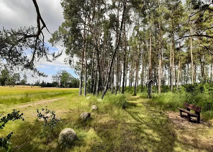 Hafenflair Am Plauer See, Plau Am Plau am See