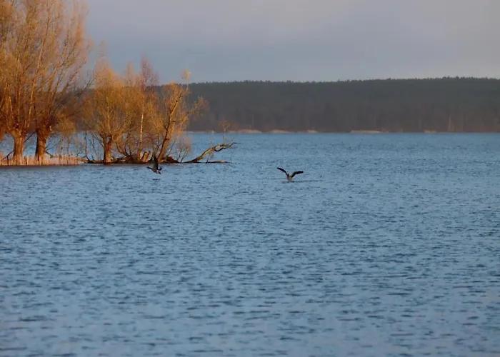 Hafenflair Am Plauer See, Plau Am アパート *